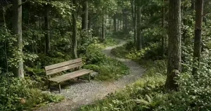 Ruhige Sitzbank an einem Waldweg
